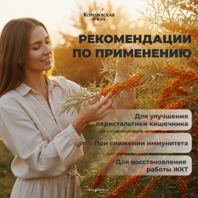 АПИ-ОБЛЕПИХА, 60 капсул